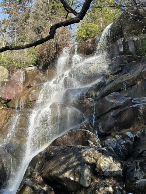 Ramsey Cascades-大雾山国家公园必去景点