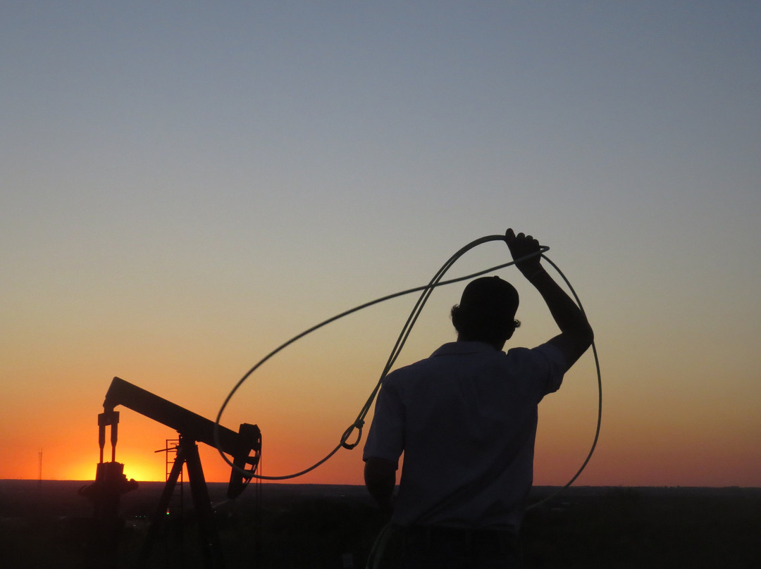 迪凯特希尔顿恒庭旅馆&套房酒店主图