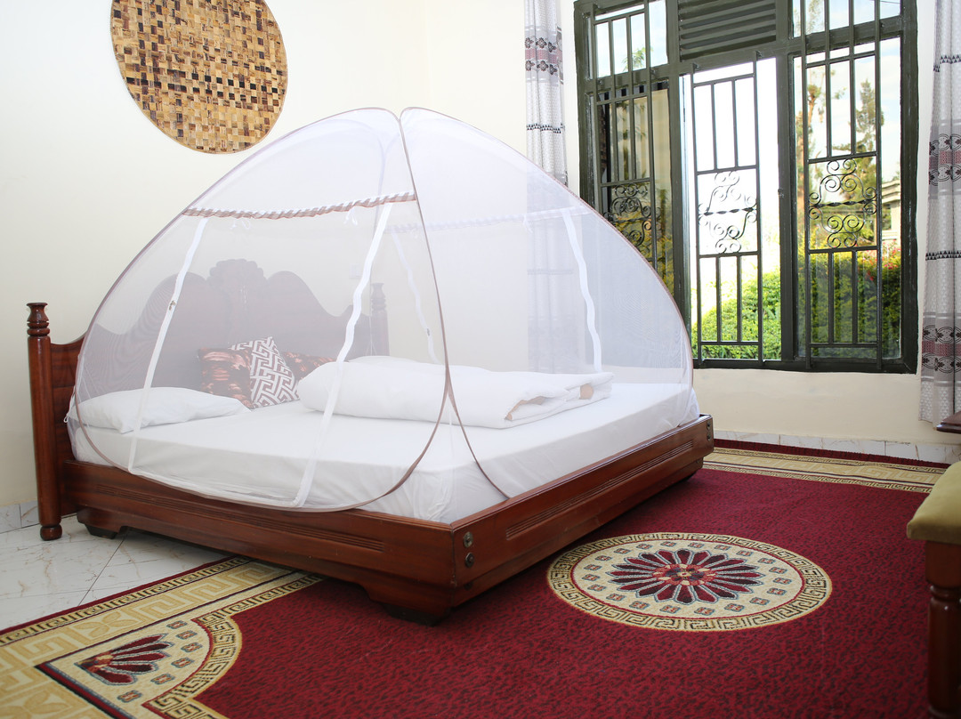 Virunga Homestay主图