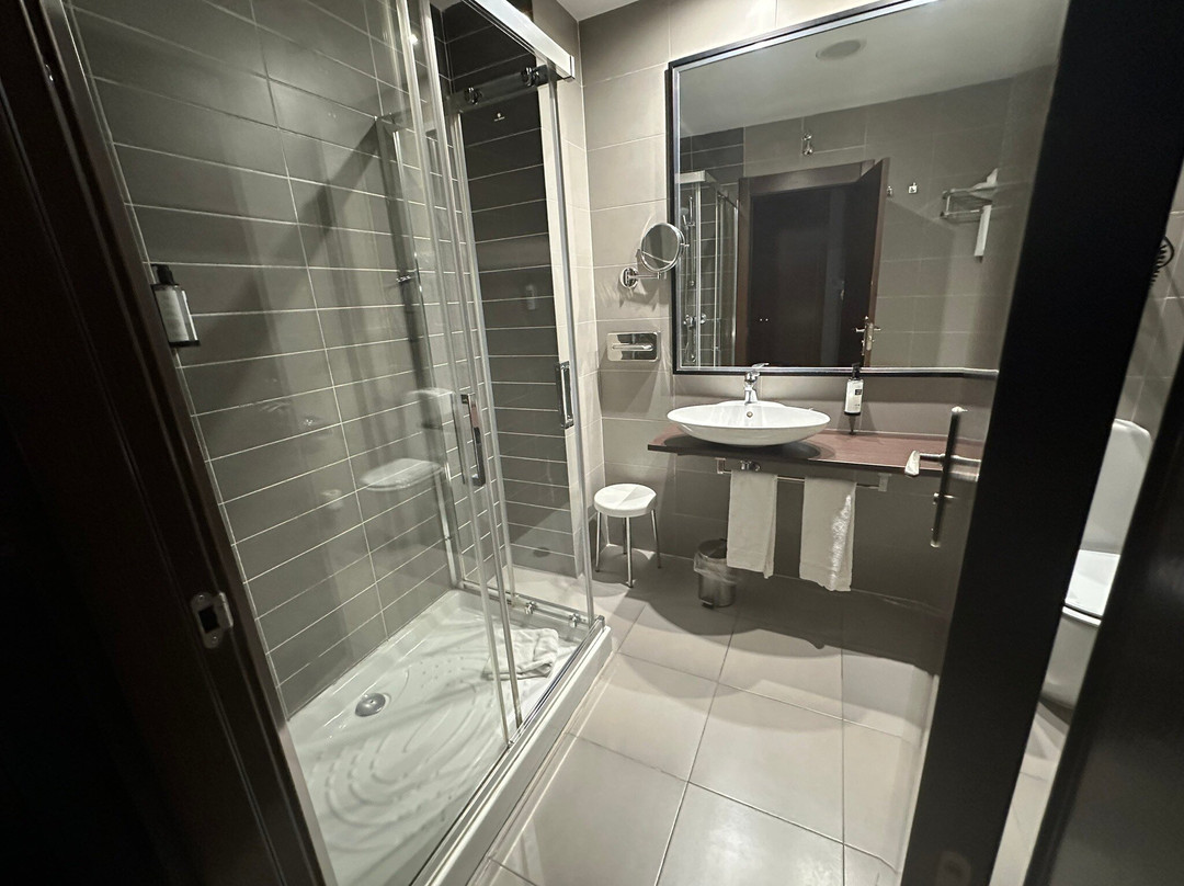 Hotel Asset Torrejon主图