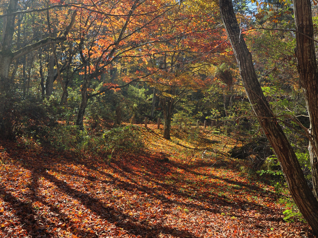 Enrei Onodachi Park景点图片