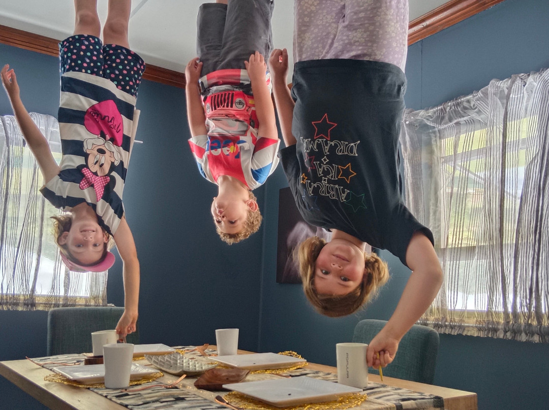 Upside Down House-Broederstroom必去景点