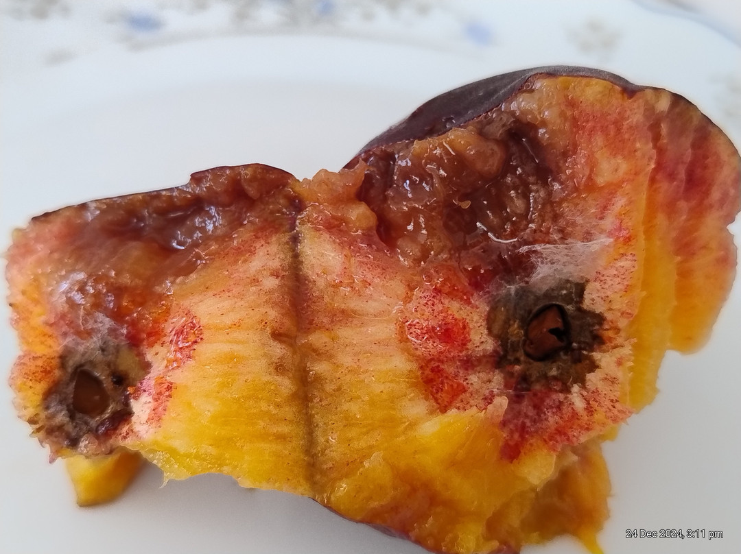 Appleshack at Glenbernie Orchard-Darkes Forest必去景点