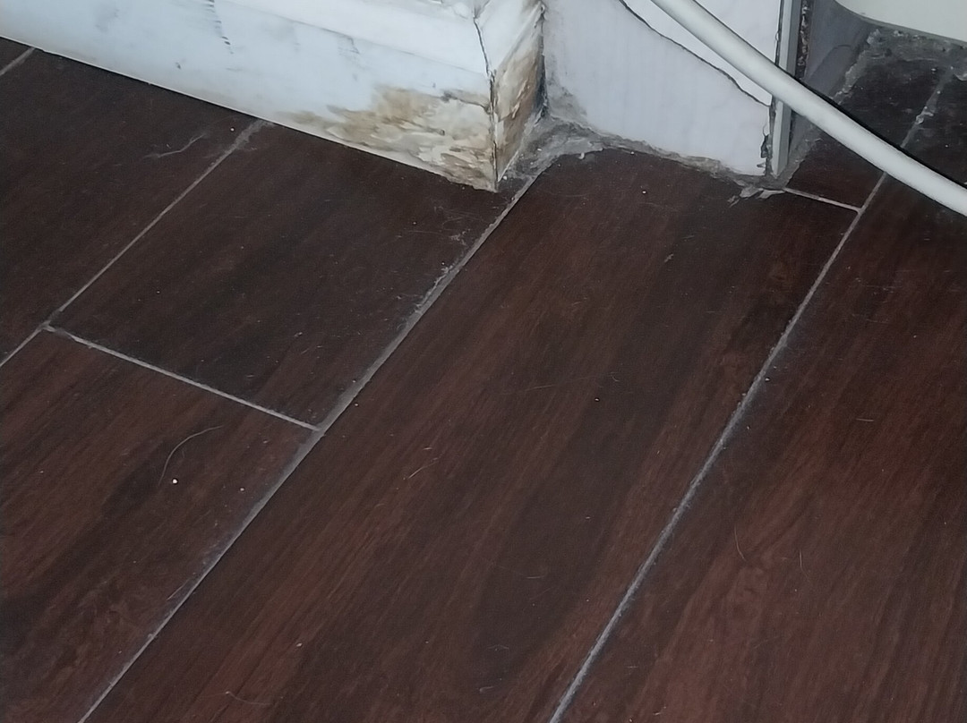 Microtel Inn & Suites by Wyndham Palm Coast主图