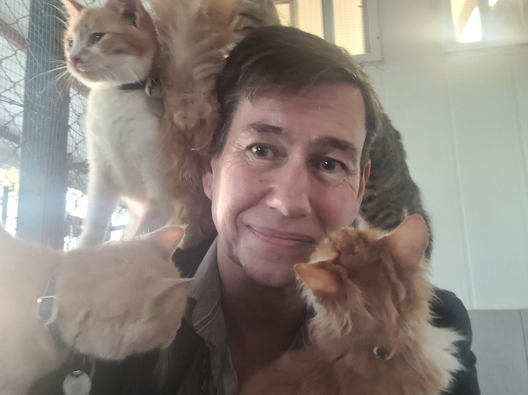 Malcolm Cat Protection Society-null必去景点