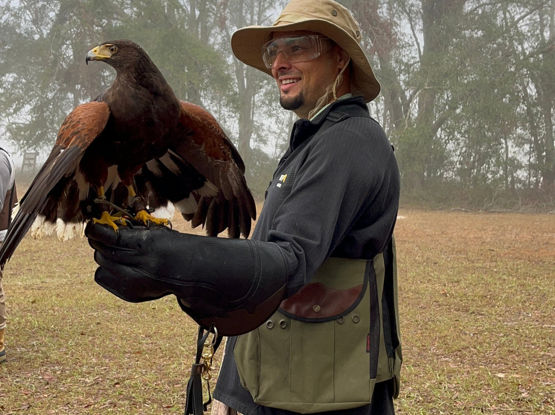 International Falconry Academy-Live Oak必去景点