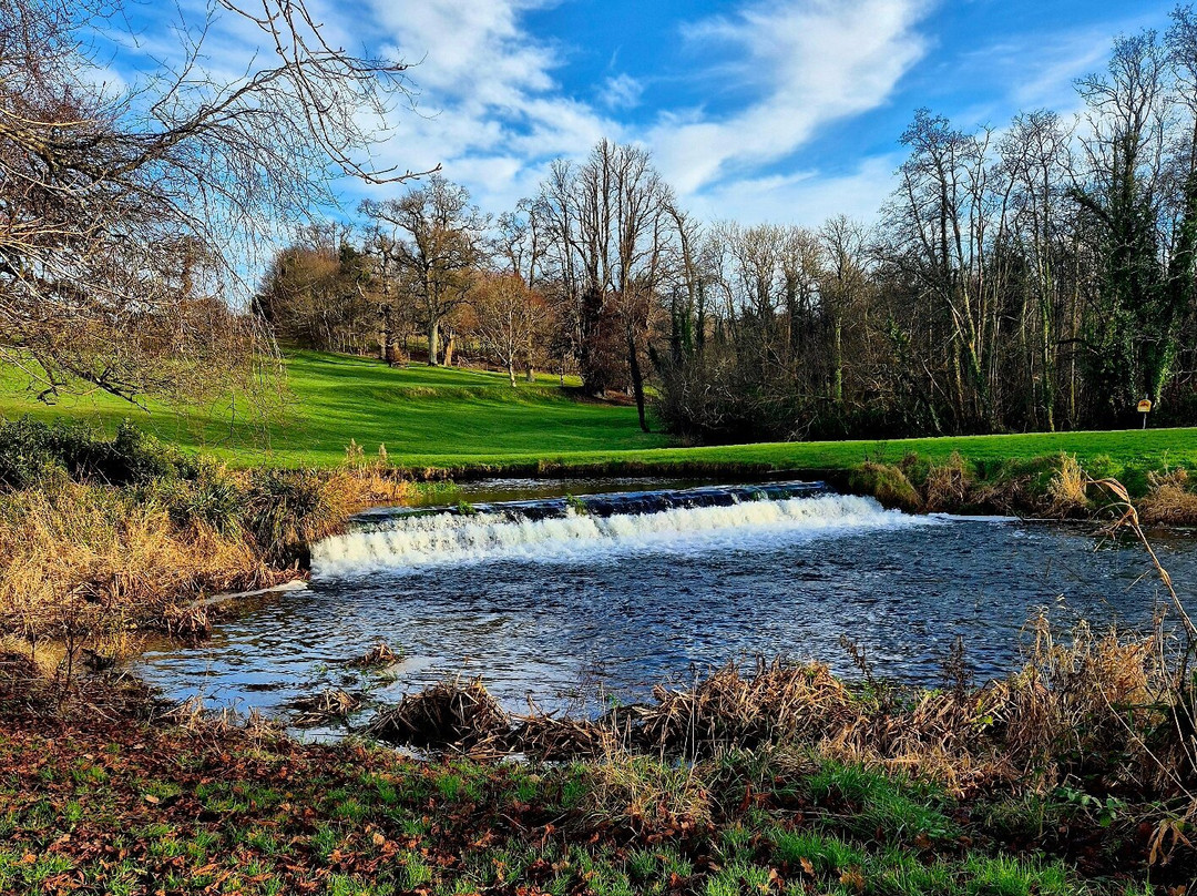 Doneraile Wildlife Park-Doneraile必去景点