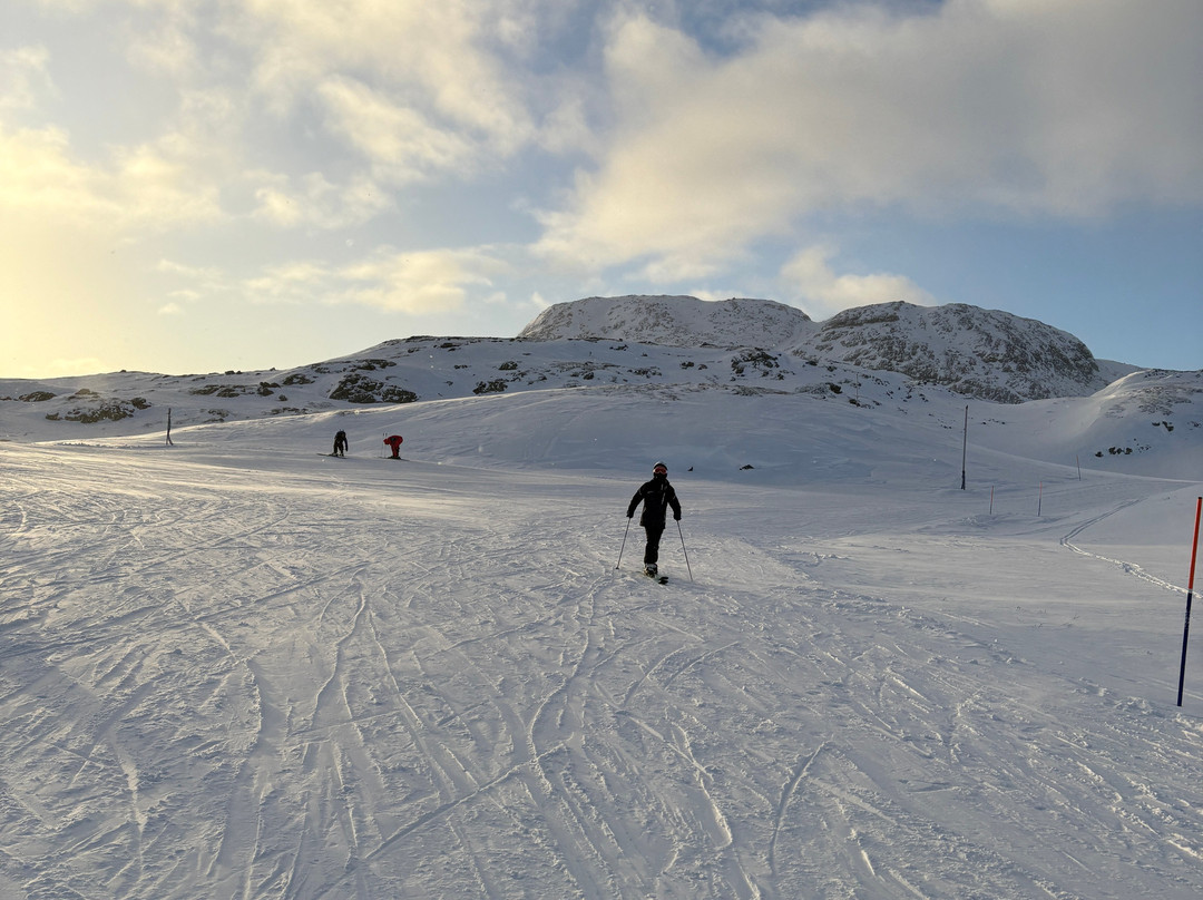 Hemsedal Ski Centre景点图片