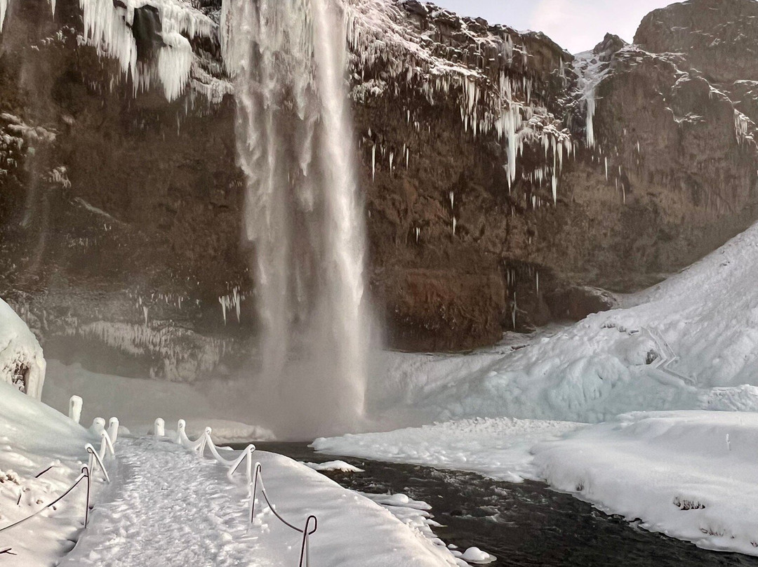 What's On in Reykjavík-雷克雅未克必去景点