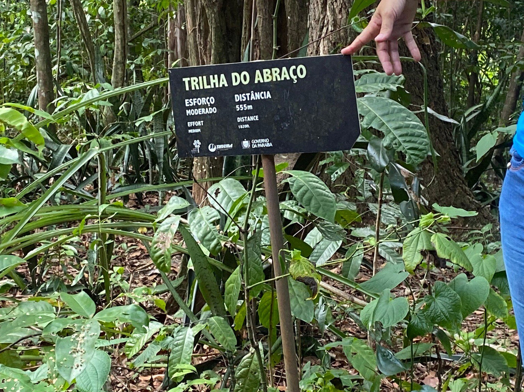 Jardim Botânico - Benjamin Maranhão景点图片