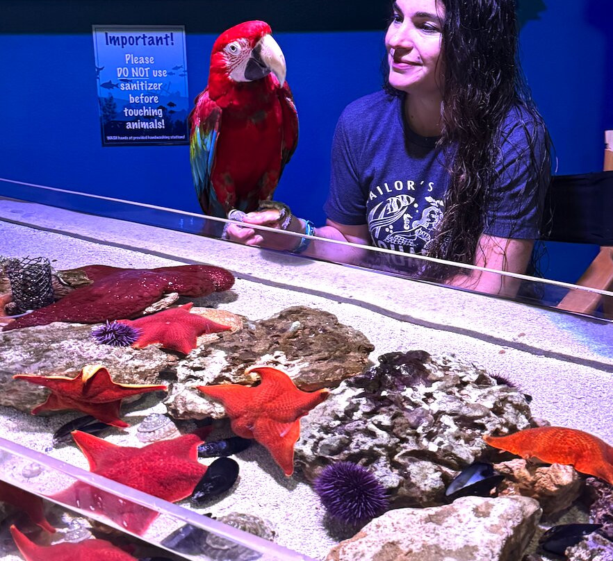 Mertailor's Mermaid Aquarium Encounter-Lecanto必去景点