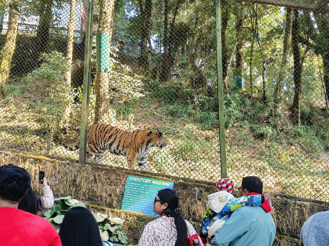 Padmaja Naidu Himalayan Zoological Park-大吉岭必去景点