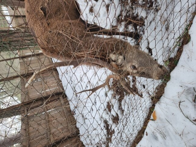 B&B La Meridiana主图