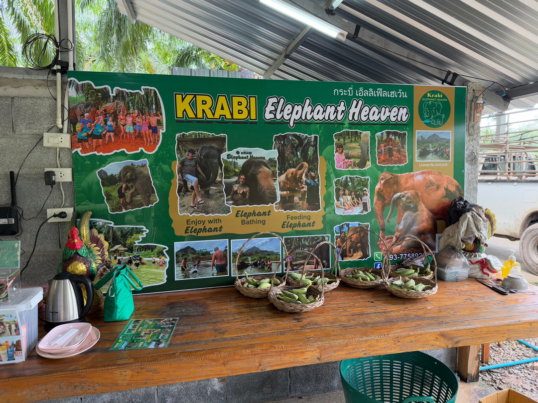 Krabi Elephant​ Heaven​-奥南必去景点