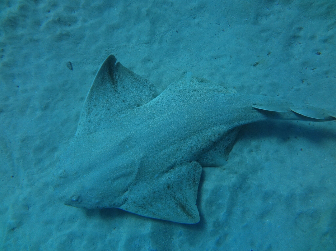 Buceo La Graciosa景点图片