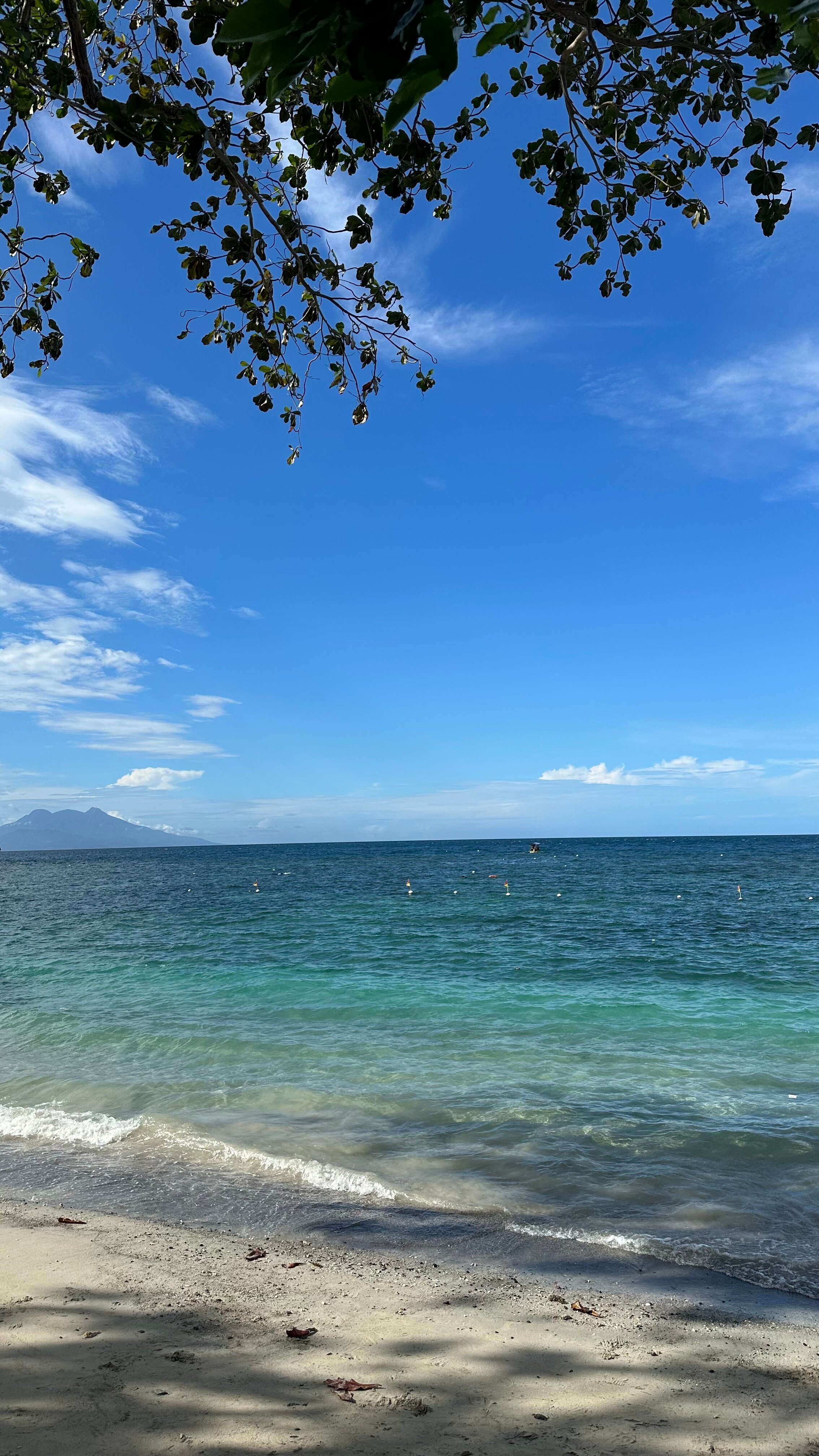 Duka Bay Resort-官方