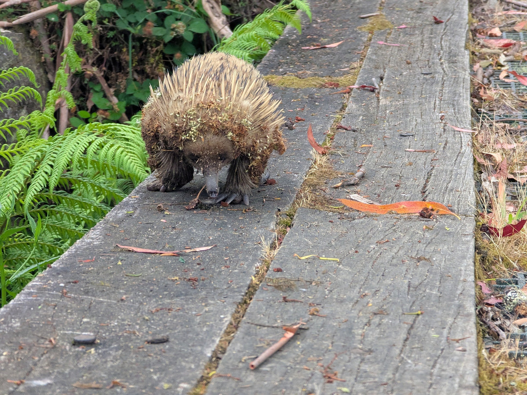 Vertigo MTB-Derby必去景点