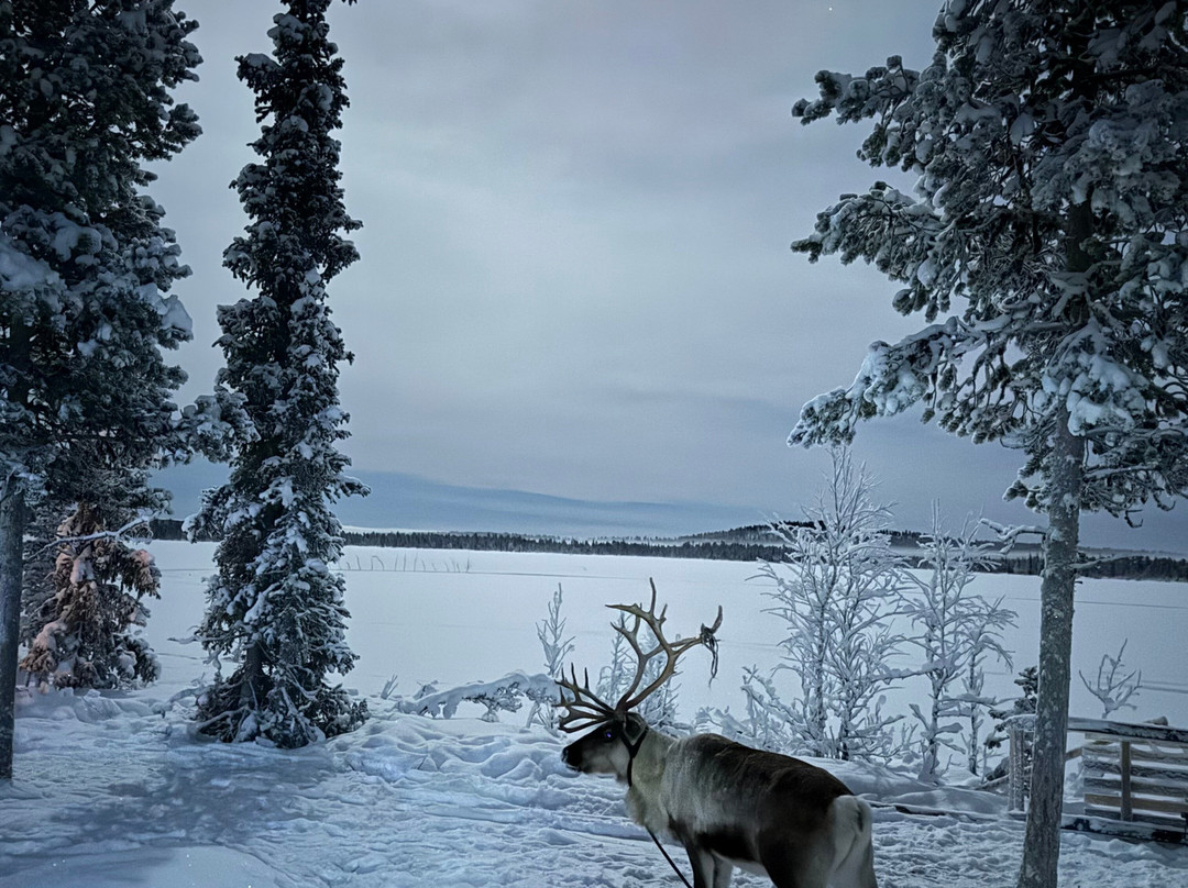 Arctic Sáivvu Adventure-Jukkasjarvi必去景点