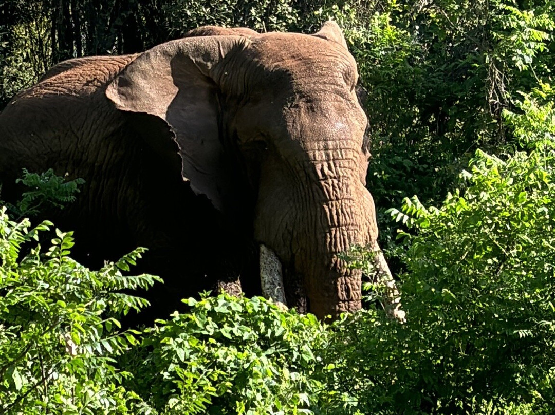 Terrace Uganda Safaris-卡巴莱必去景点