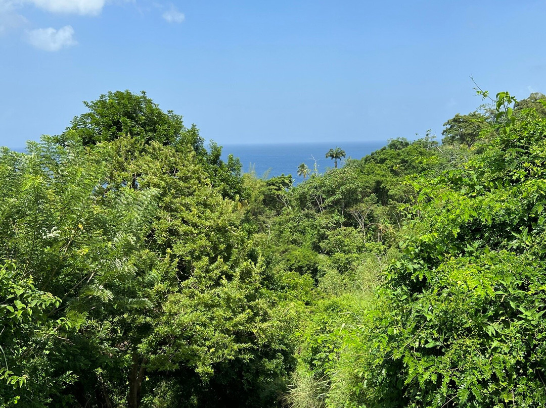 White Rock Bay Trail-Castara必去景点