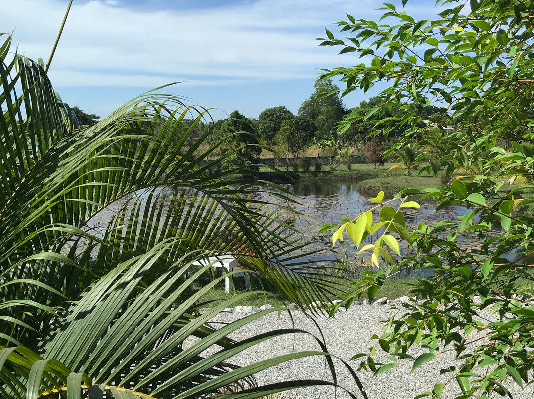 Bua Daeng Luxury Homestay主图