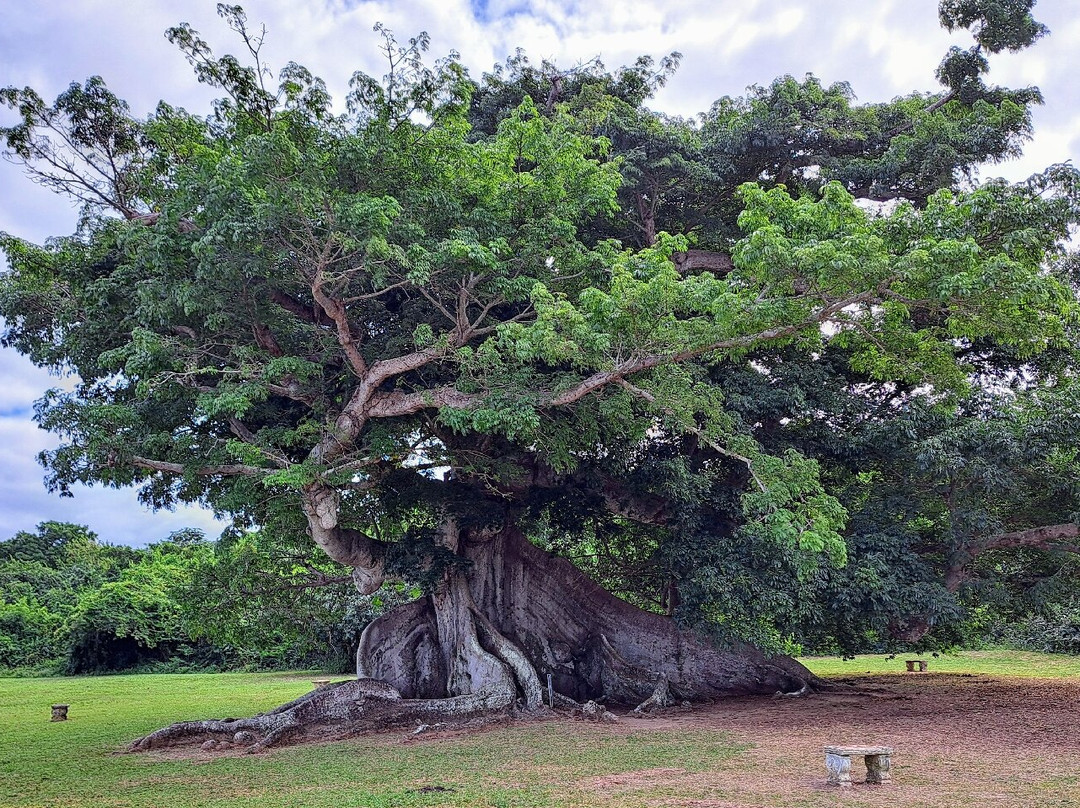 Vieques Concierge-维切克岛必去景点