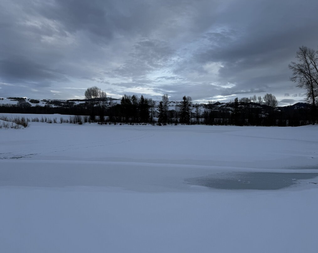 Rendezvous Park-威尔逊必去景点