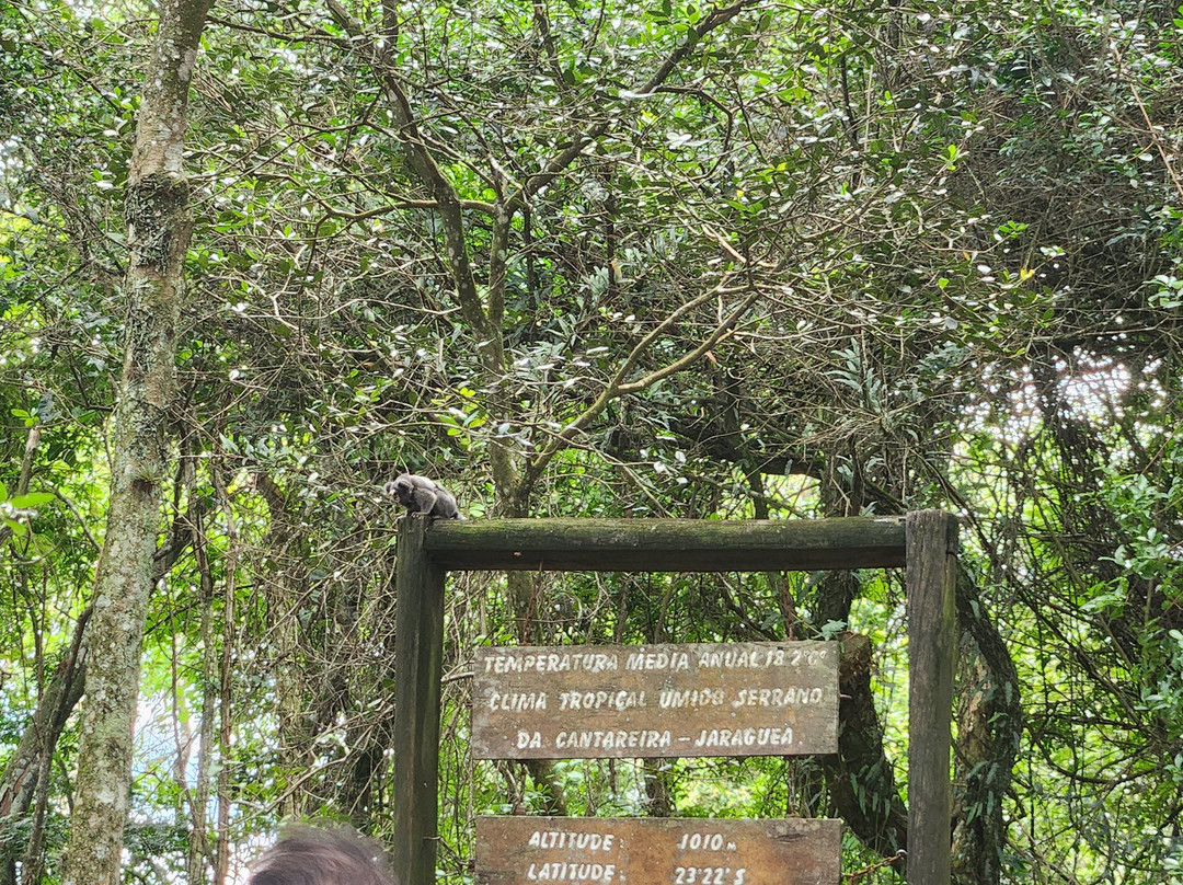 Portaria Horto Florestal-圣保罗必去景点