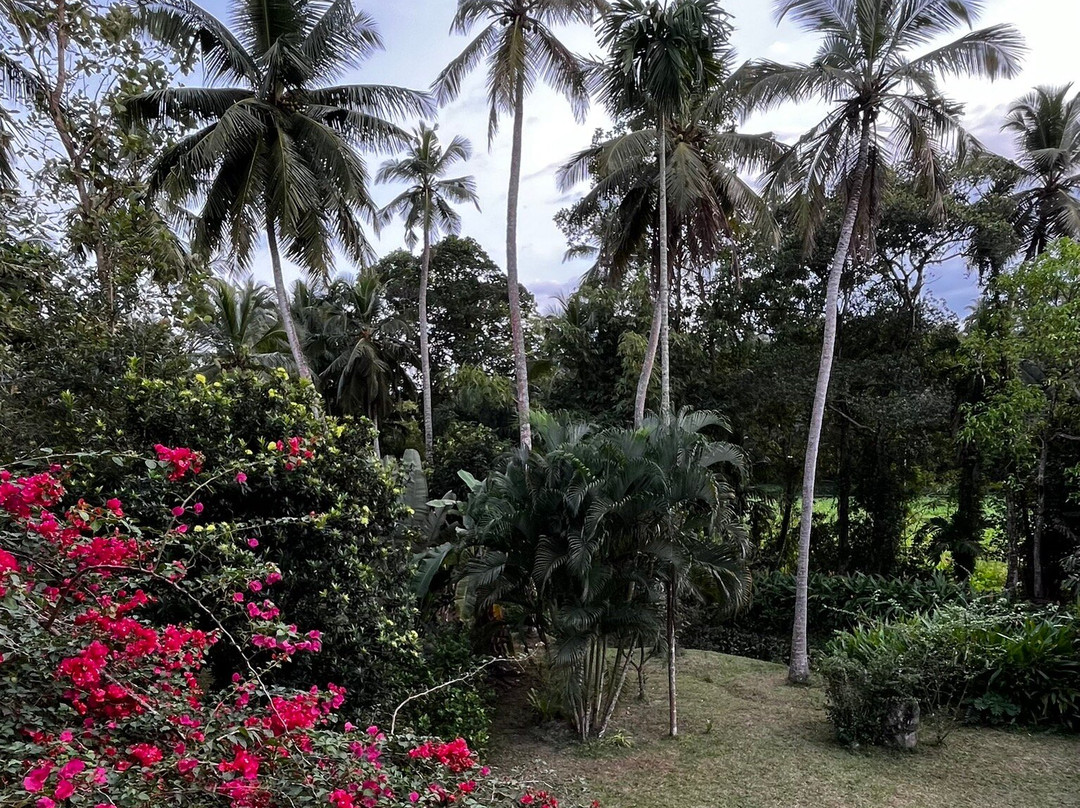 Anuhas Airport Villas主图