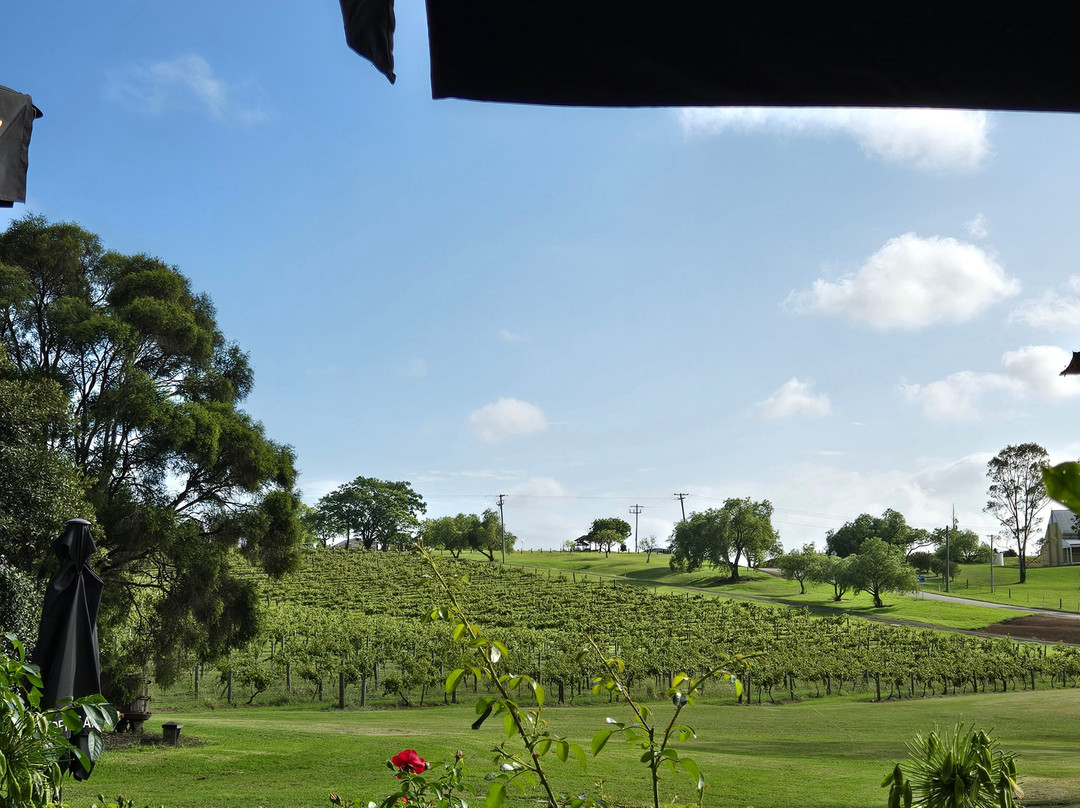 Ben Ean Winery景点图片