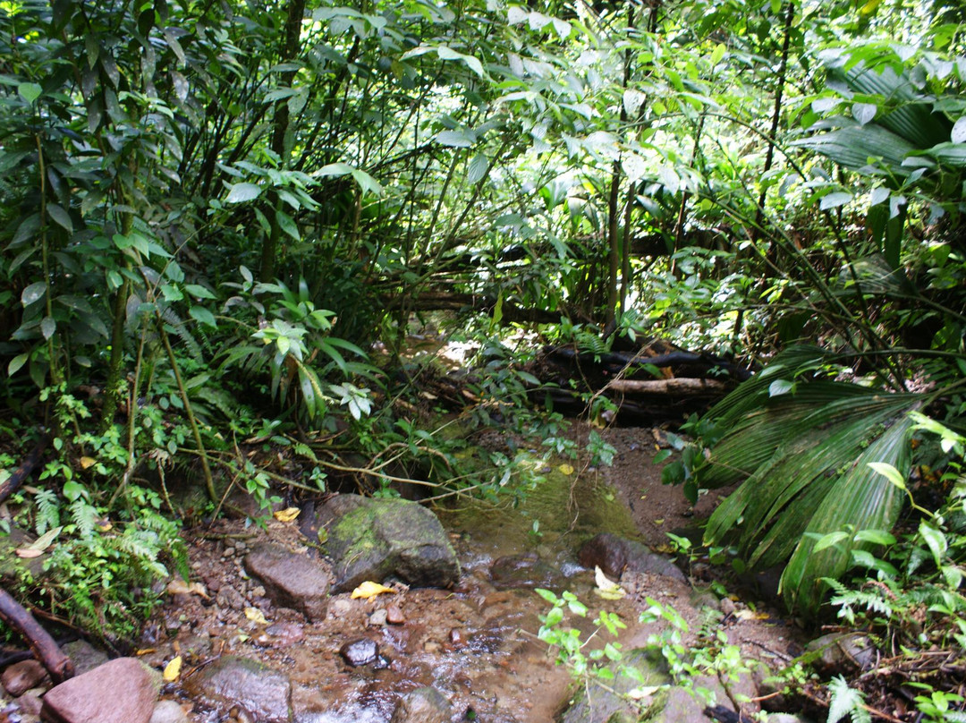 Source Attila-Le Morne-Vert必去景点