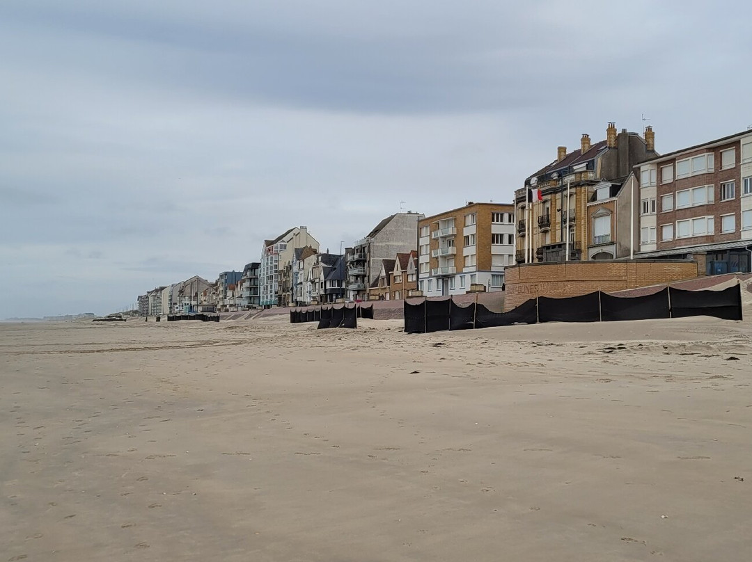 Reserve Naturelle Dune Marchand景点图片