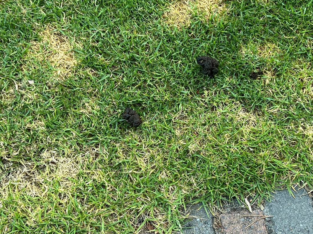 坎普斯湾度假酒店主图