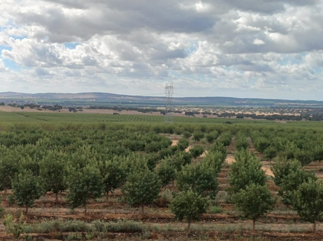 Sesmarias Turismo Rural & SPA主图