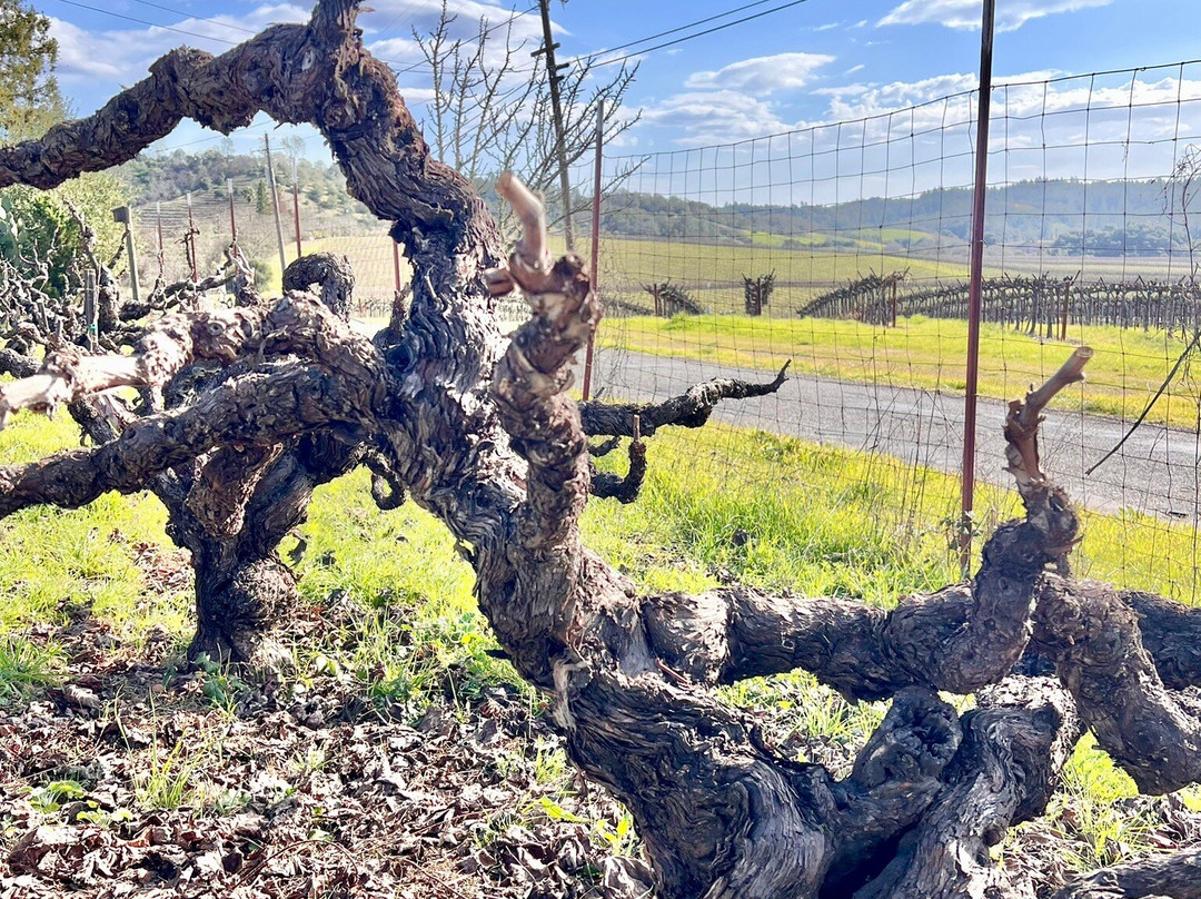 Frick Winery景点图片