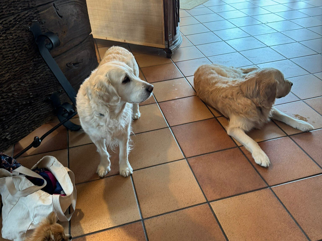 El Balcon De Las Nieves主图