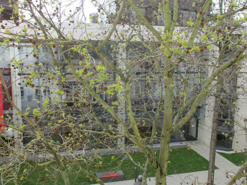 Arthotel ANA Fleur主图