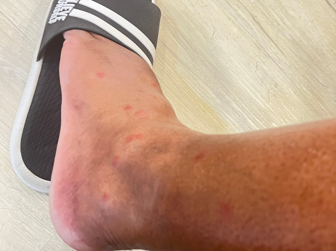 Forest City Marina Hotel主图