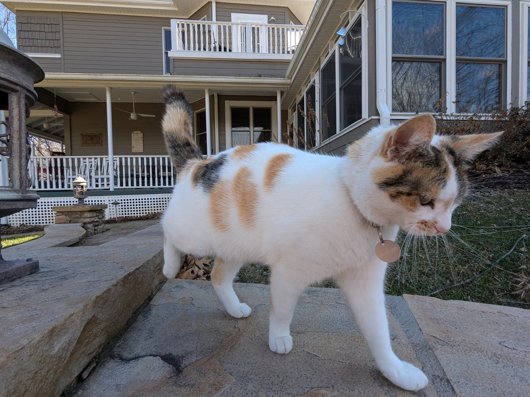 Andon-reid Inn Bed And Breakfast主图