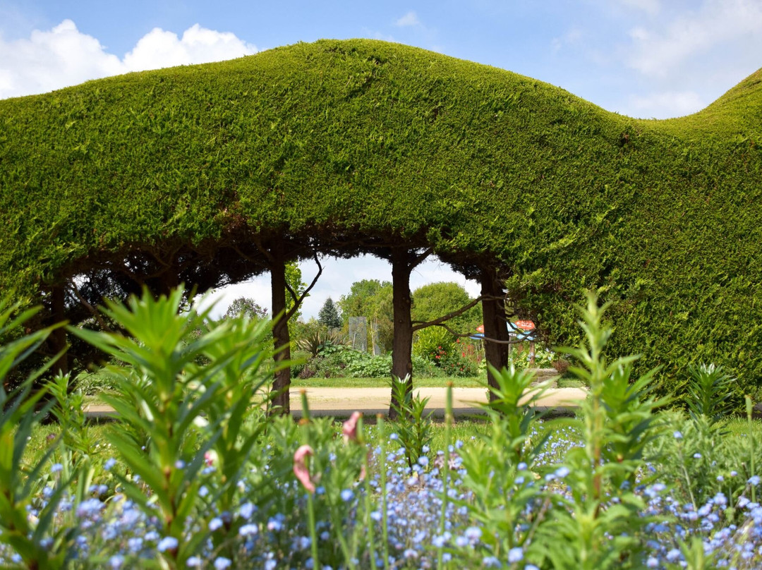 Les Jardins De Brocéliande景点图片