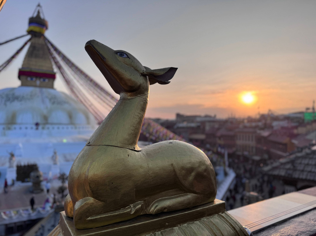 厨师楼度假村主图