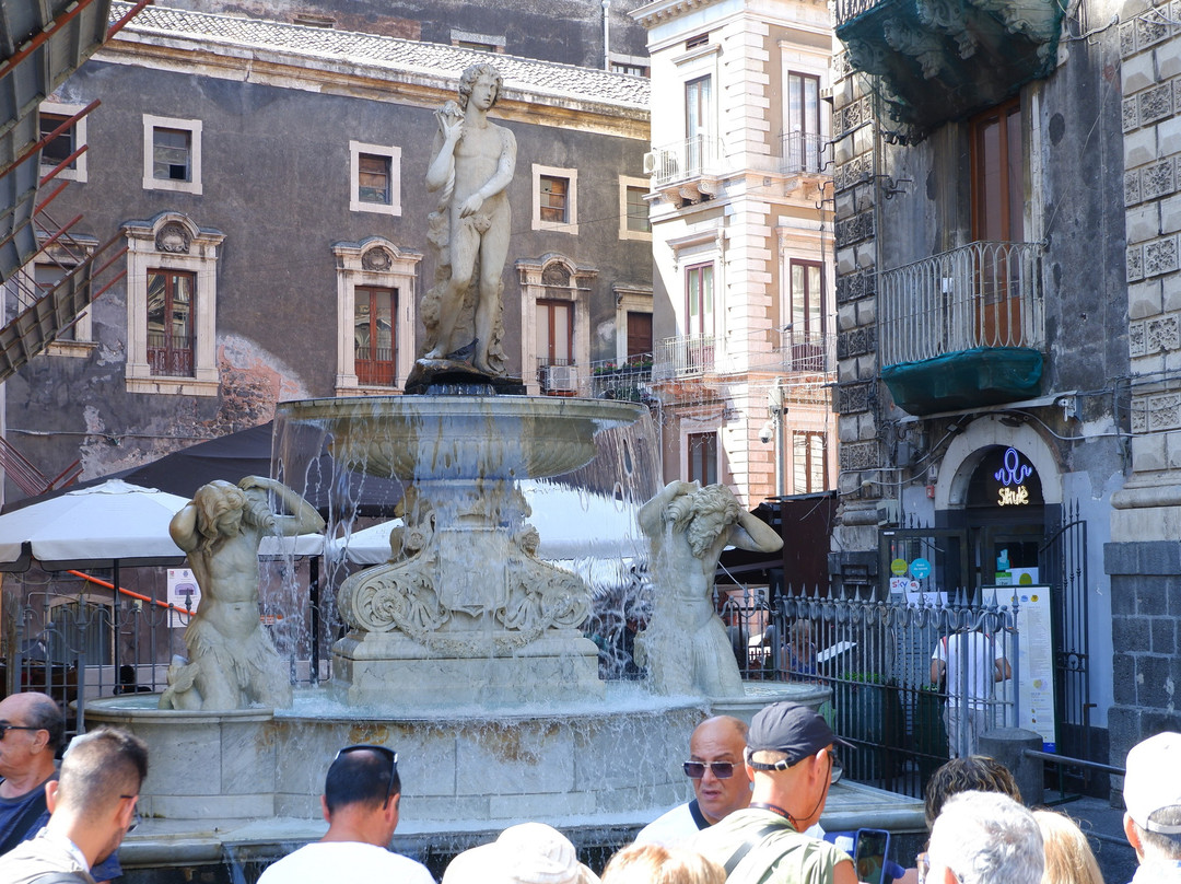 Fontana dell'Amenano-卡塔尼亚必去景点