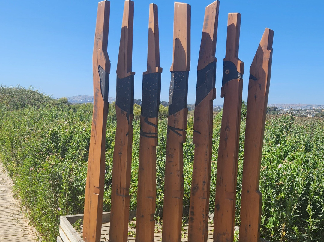 Parque Humedal Río Maípo-Santo Domingo必去景点