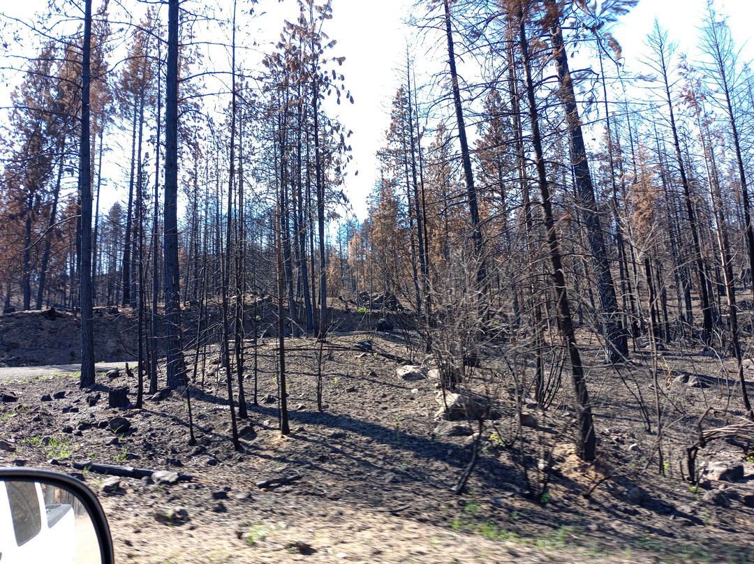 Rattlesnake Grade-Enterprise必去景点