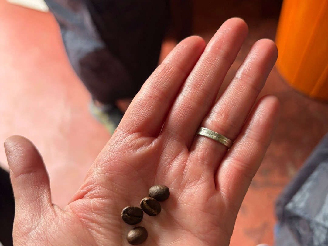 Huye Mountain Coffee景点图片