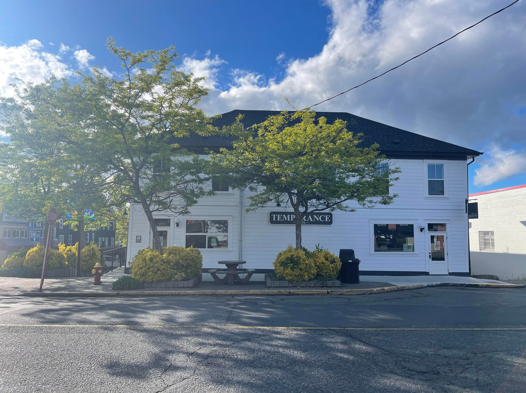 Temperance Hotel