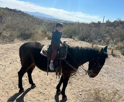 Saguaro Stables-图森必去景点