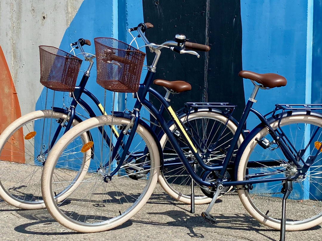 BikeAlao - Bike Rental and Tours in Valencia景点图片