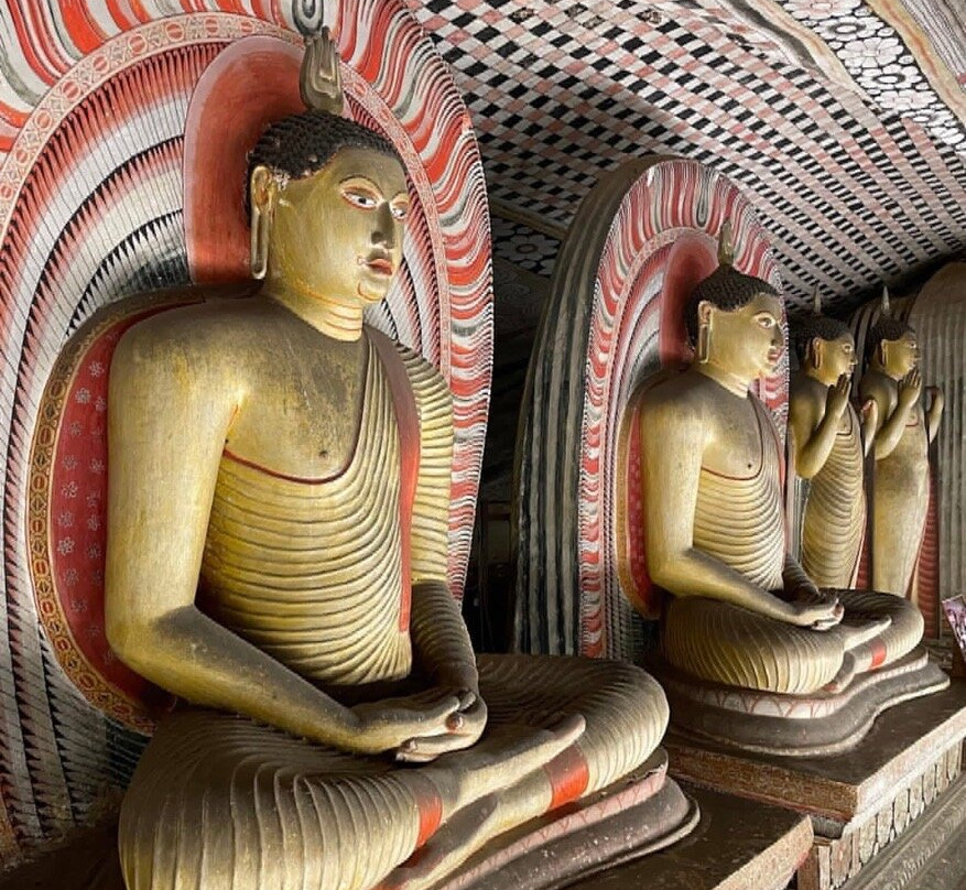 Sri Lanka Driver Tours景点图片