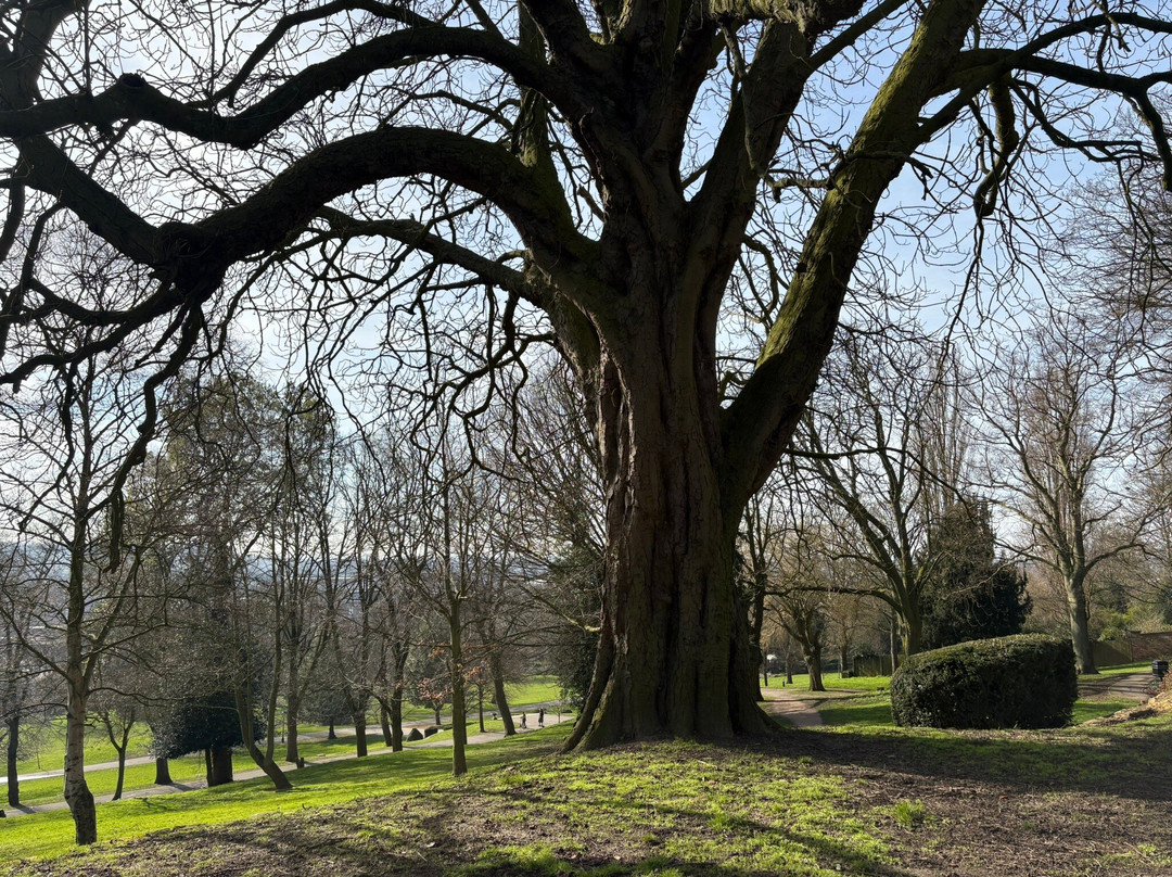 Lincoln Arboretum景点图片